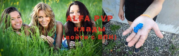 спайс Арсеньев
